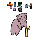 워시엔조이강서