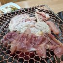 토지촌