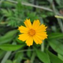 우주광고사 - 익산시 | 우주광고사