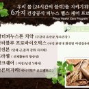 바른건강 닥터존 이미지