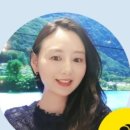 커리어앤스카우트주