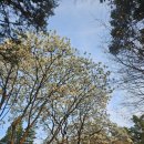 원주자연 이미지