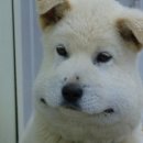 수성사랑니치과의원 이미지