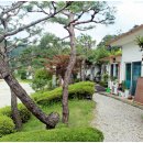 쌀밭나드리 이미지