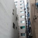부평장제로 이미지
