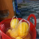 진사리입구 이미지