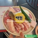 뿜뿌이 | 을지로3가맛집 빽돈 : 을지로 회식장소 추천
