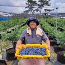 김상진농장 이미지