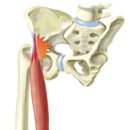 에이앤프리햅 이미지