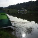 대물낚시 이미지