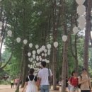 남이섬 아이린 펜션 이미지