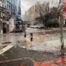 중앙동-S5 | 베스트슬립 저상형패밀리침대 쇼룸 방문 후기