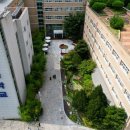 백신초등학교 이미지