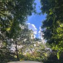 산상낙원 이미지