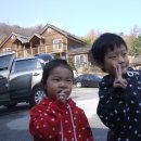 종원목장 이미지