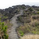 동백여인숙 이미지