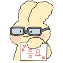 요거트시즌