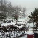 삼태기농장 이미지