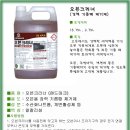 크린랜드 이미지