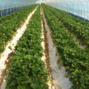 병준농장 이미지