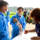 행복하 개 이미지