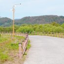 초동연가길 화장실1 이미지