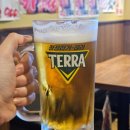 송파구 가성비 끝판왕 맥주집, 가락시장 경찰병원 이자카야 술집 생마차 내돈내산 후기