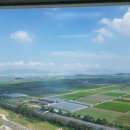 봉황공인중개사사무소 이미지