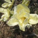 여명농장 이미지