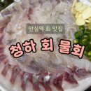 청하회물회