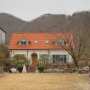 들안길애견펜션 이미지