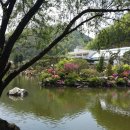 자연의 소리 이미지