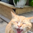 신성꽃집