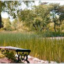 화랑포 충전소 이미지