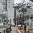 길성약국 이미지