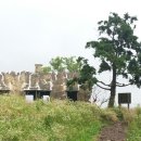 다다목장 이미지