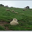 지평선목장 이미지