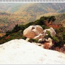 명산약국 Daum카페