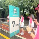 완주 | 2025 산리오 큐티런 10km 완주 후기 (기념품, 기록, 메달, 굿즈)