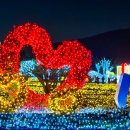 황산공원 족구장 네이버블로그