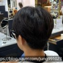 강남역 미용실 고아라헤어케어 남자 머리 다운펌 가일펌 후기