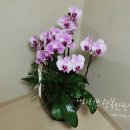 (주)삼오관리 이미지