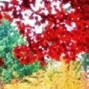 유교경전: 논어편 이미지