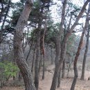 세거리 마을회관 이미지