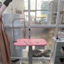 늘 사랑스럽개 이미지