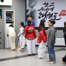 인성 용인대 태권도장 이미지