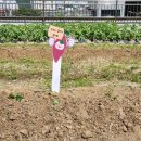 예미지키즈어린이집 이미지