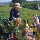 큰별나라어린이집 이미지