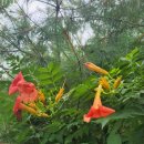 해드림행정사 이미지