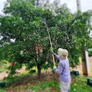 알찬농장 이미지